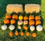 Porch Decorating Pumpkins