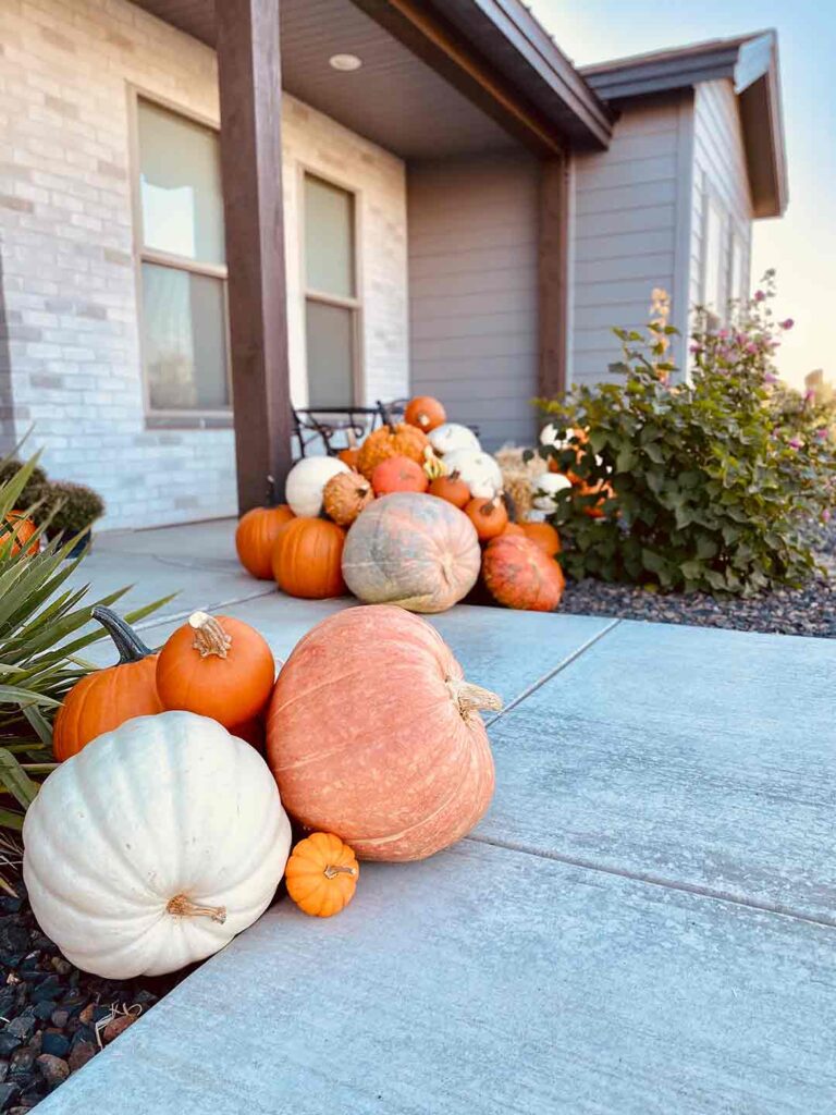 porchPumpkins