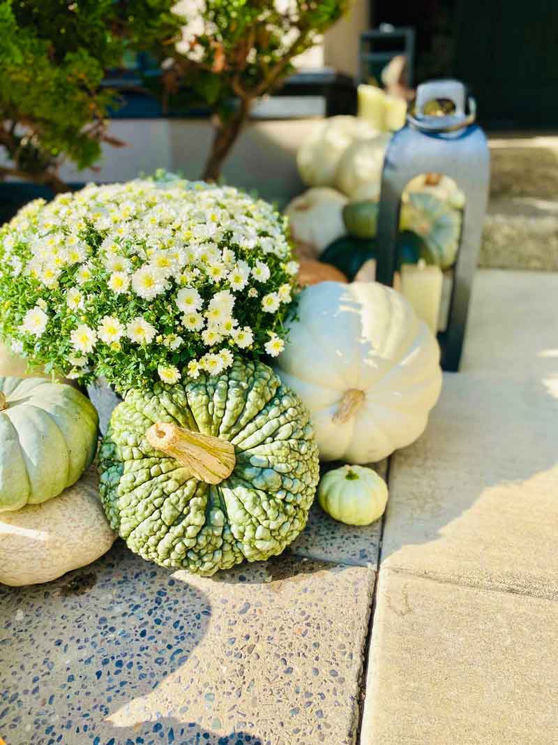 Pumpkin arrangement