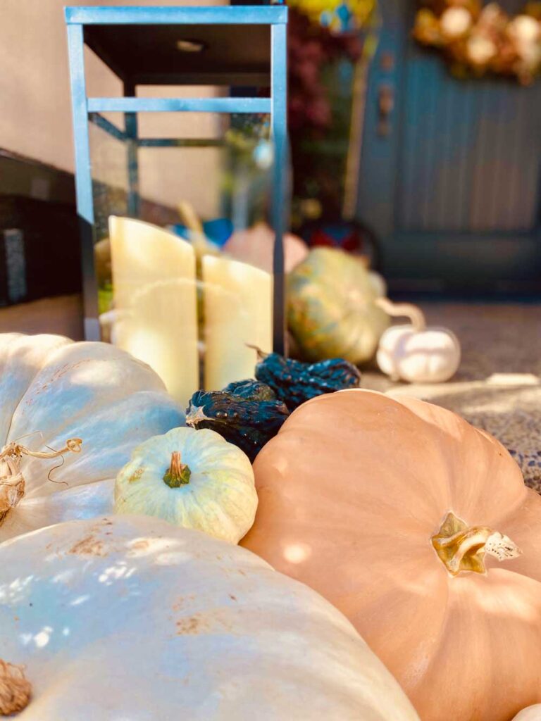 porchPumkinsTriCities