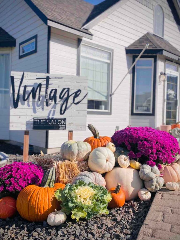 porchPumpkins8